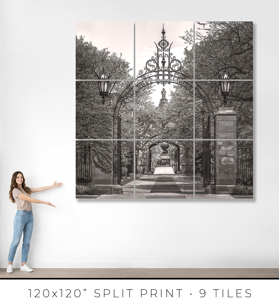 Hull Court Gate at the University Of Chicago - Igor Menaker Fine Art Photography
