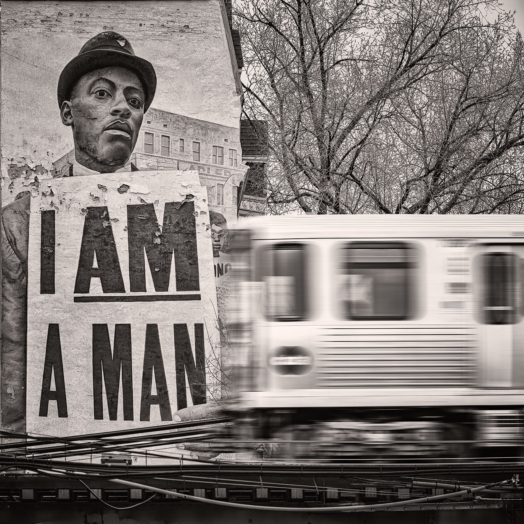 I am a Man Mural - Igor Menaker Fine Art Photography