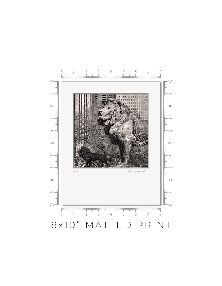 Lions of the Art Institute - Igor Menaker Fine Art Photography