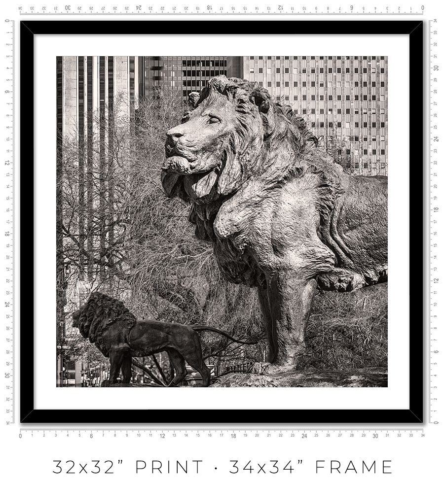 Lions of the Art Institute - Igor Menaker Fine Art Photography