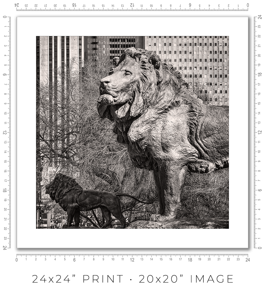 Lions of the Art Institute - Igor Menaker Fine Art Photography