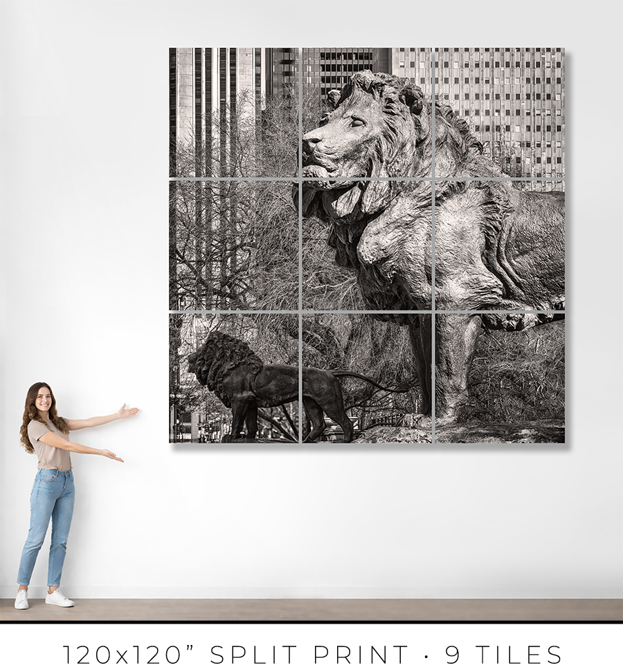 Lions of the Art Institute - Igor Menaker Fine Art Photography