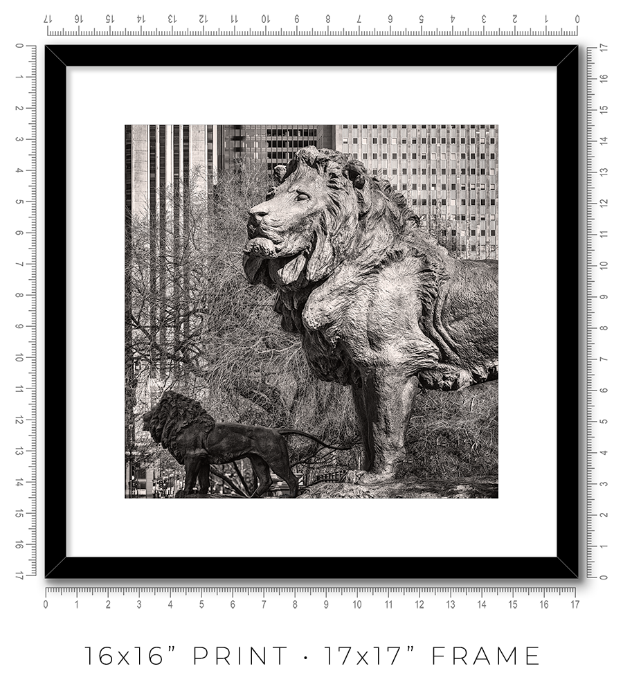 Lions of the Art Institute - Igor Menaker Fine Art Photography