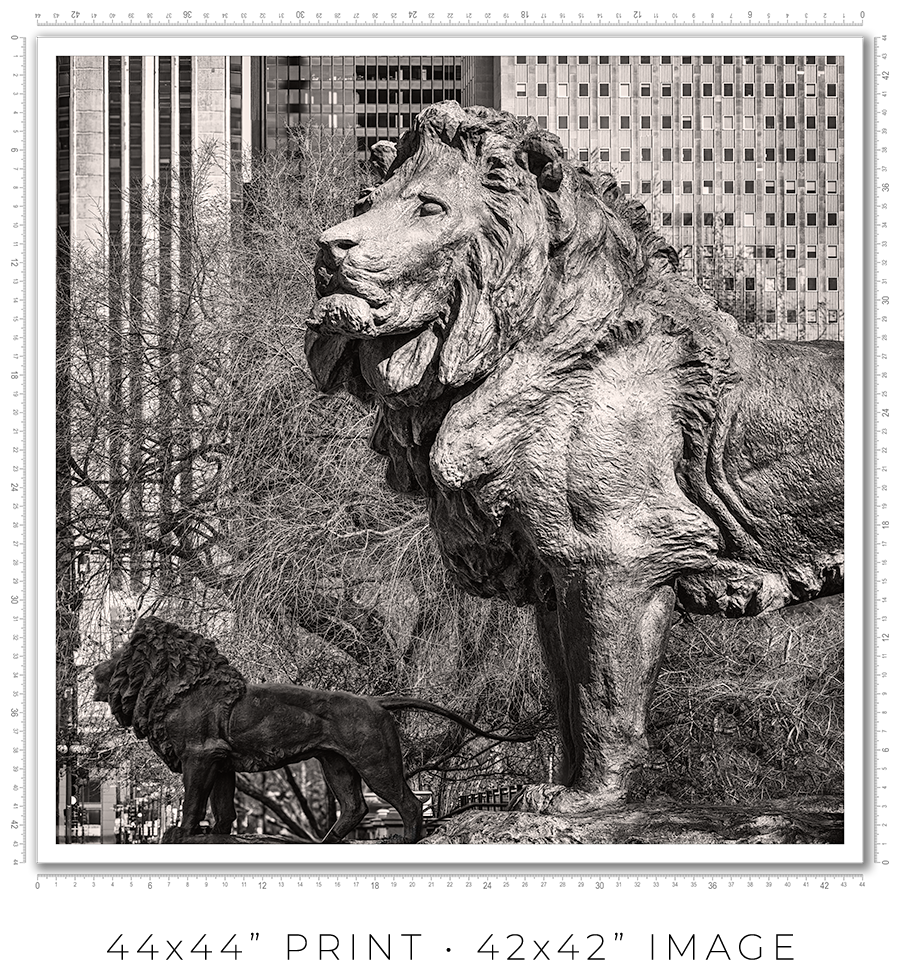 Lions of the Art Institute - Igor Menaker Fine Art Photography