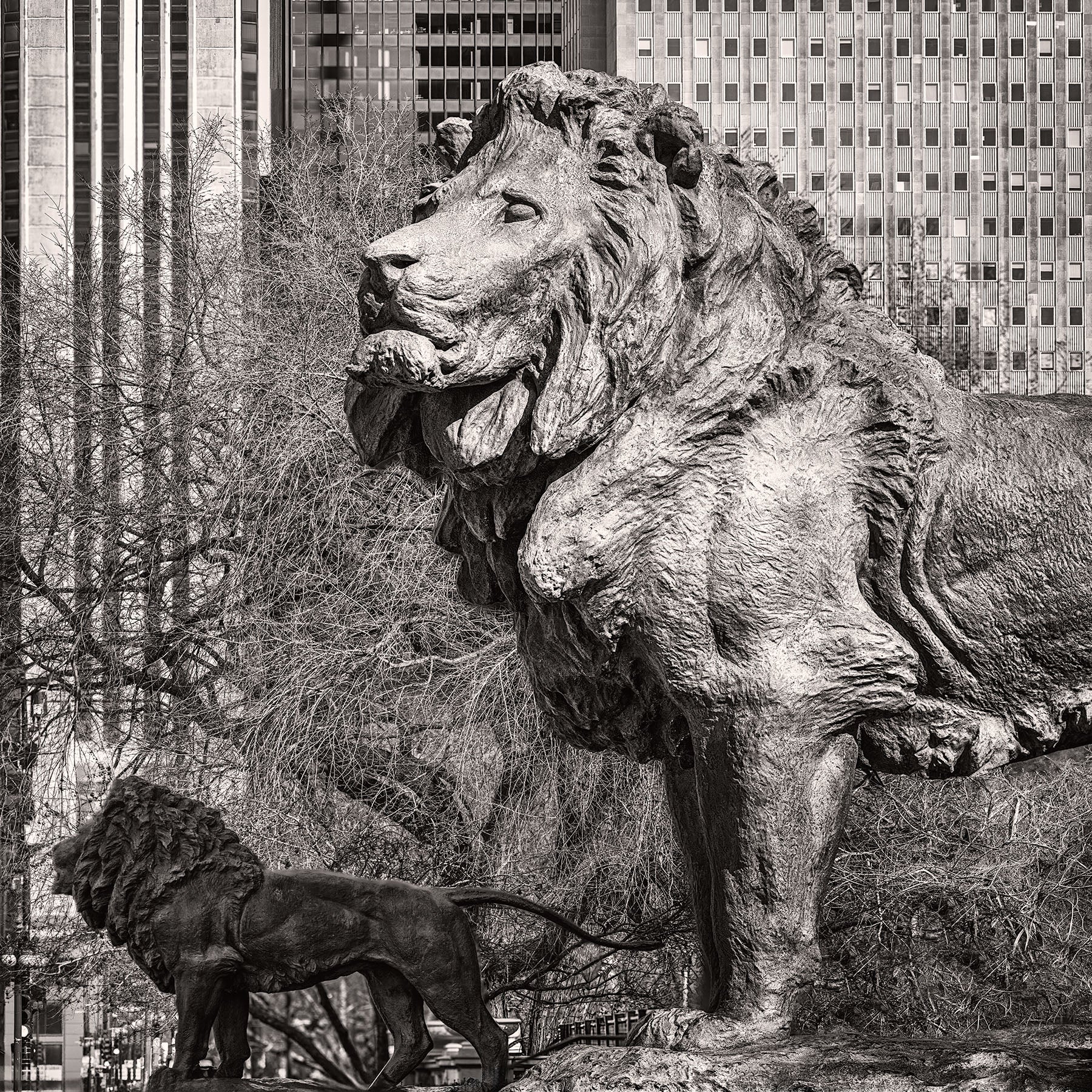 Lions of the Art Institute - Igor Menaker Fine Art Photography