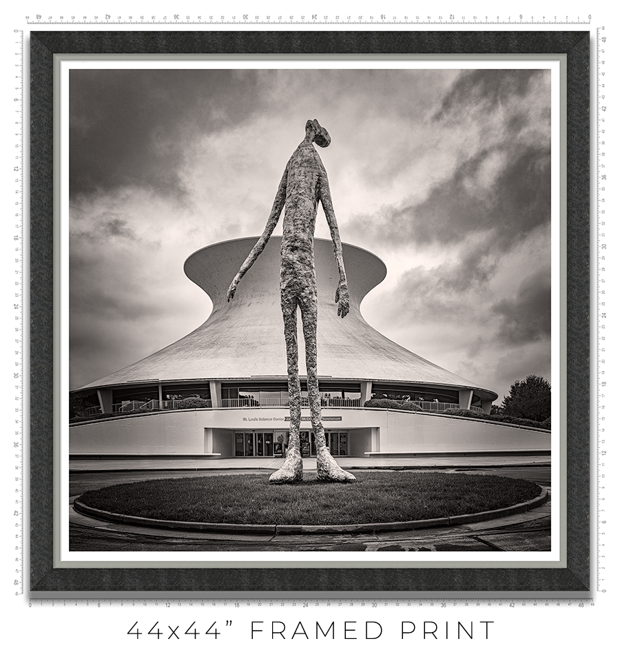 Looking Up - Igor Menaker Fine Art Photography