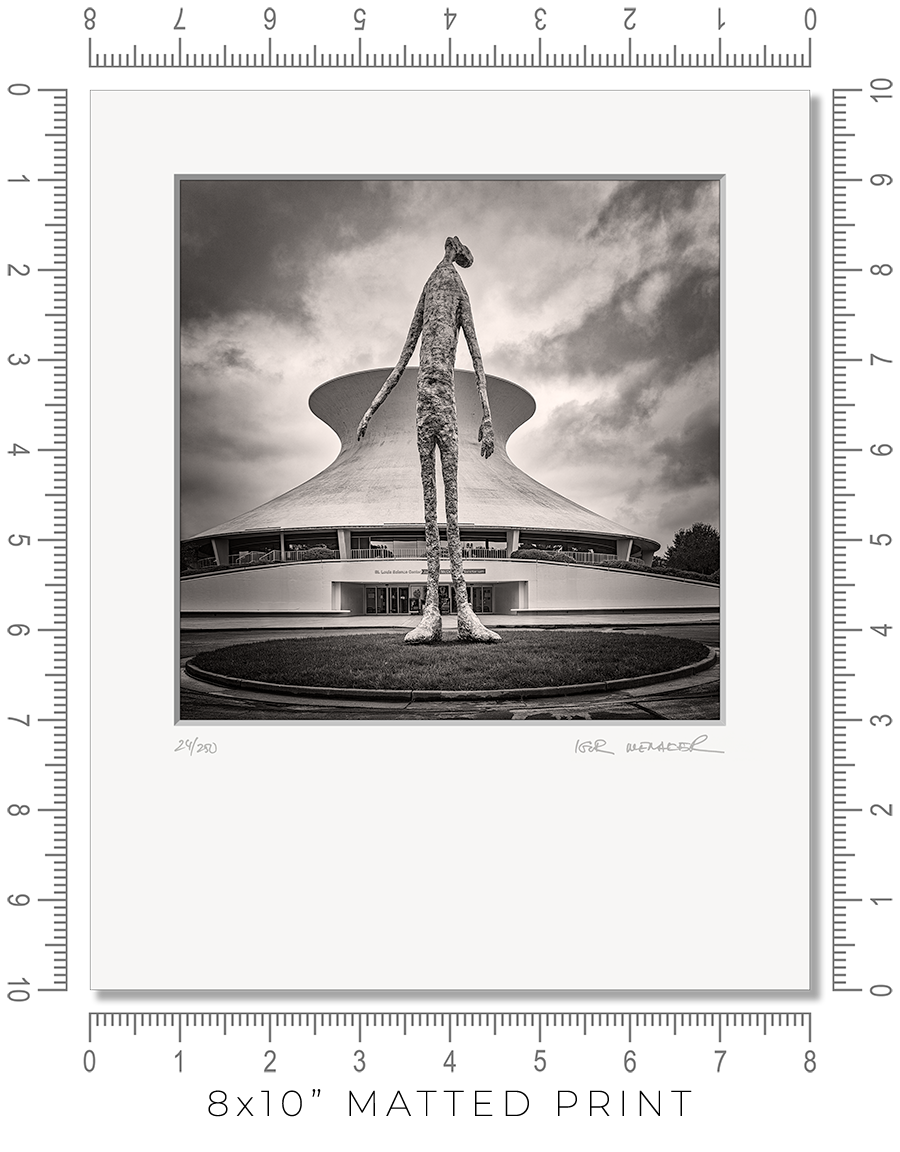 Looking Up - Igor Menaker Fine Art Photography