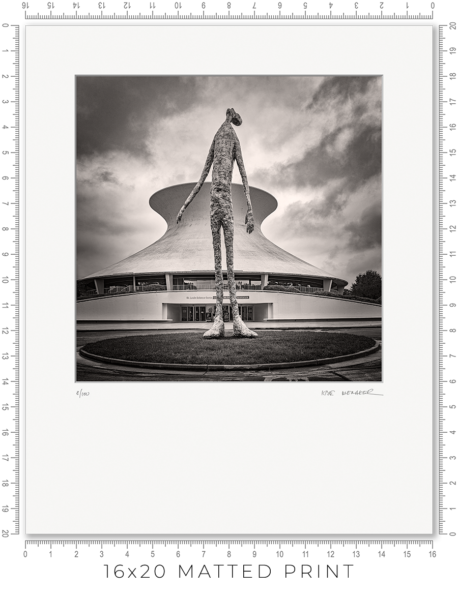 Looking Up - Igor Menaker Fine Art Photography