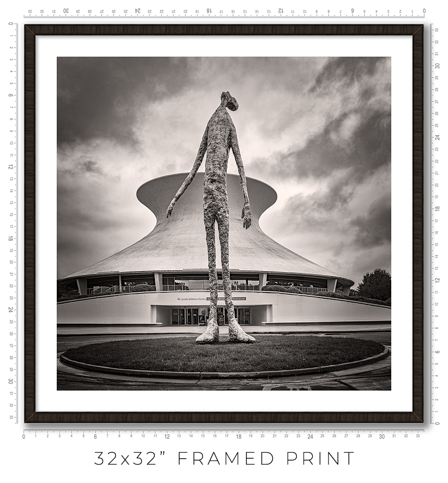 Looking Up - Igor Menaker Fine Art Photography