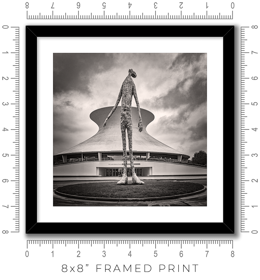 Looking Up - Igor Menaker Fine Art Photography