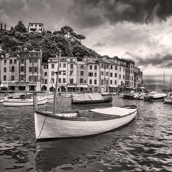 Portofino Harbor