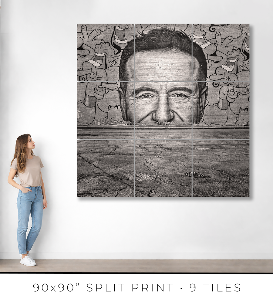Robin Williams Mural - Igor Menaker Fine Art Photography