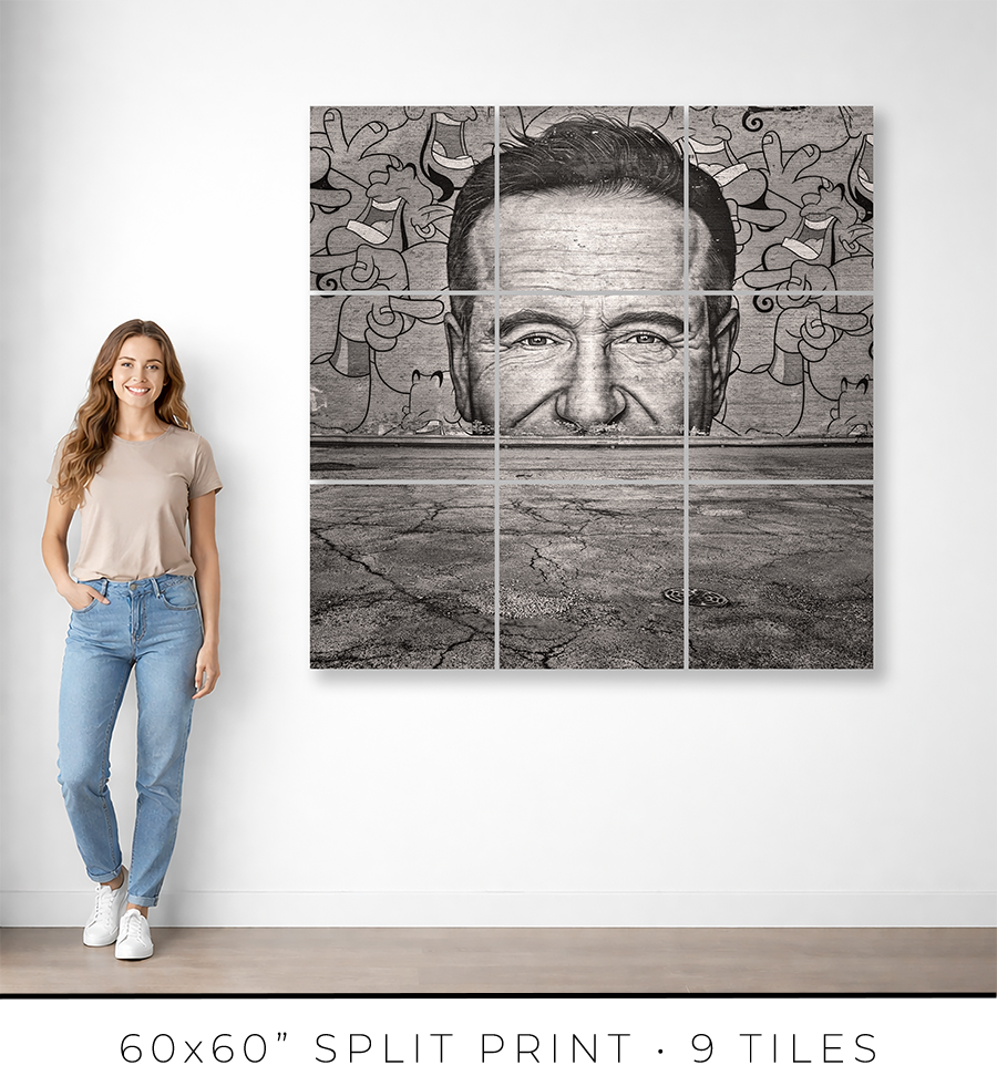 Robin Williams Mural - Igor Menaker Fine Art Photography