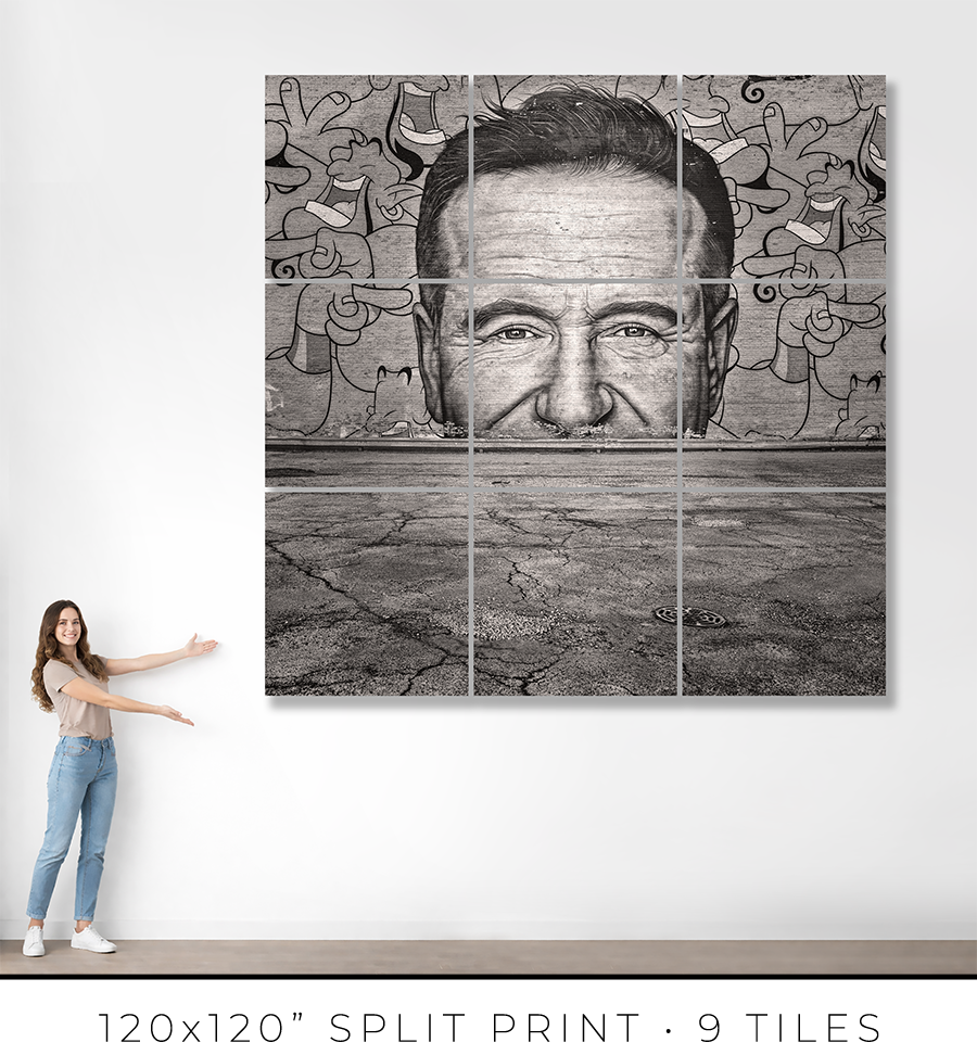 Robin Williams Mural - Igor Menaker Fine Art Photography