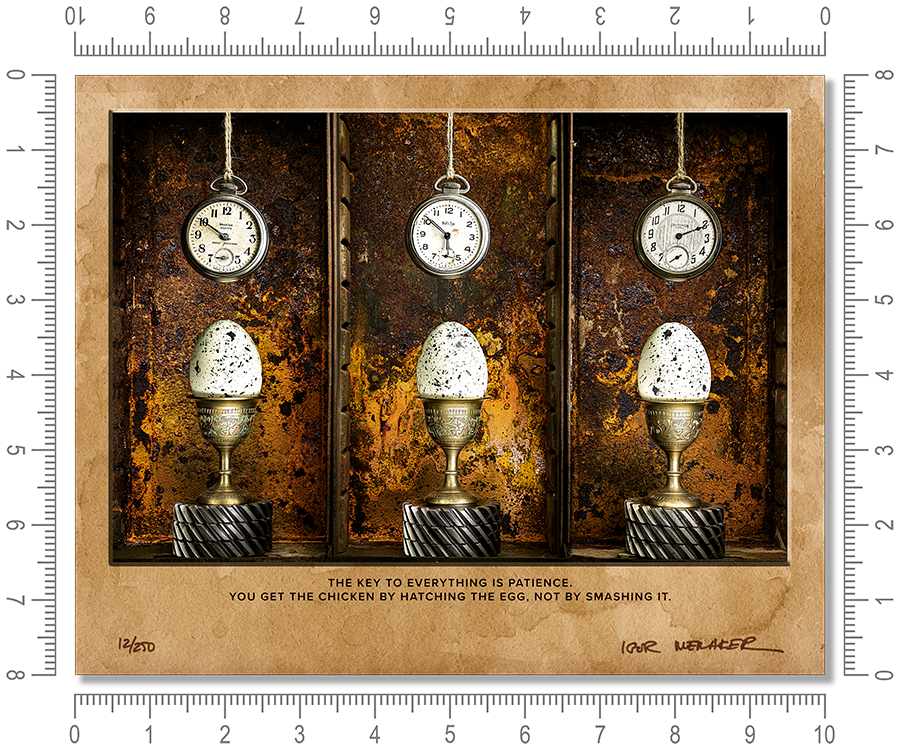 The key to everything is patience. You get the chicken by hatching the egg, not by smashing it. - Igor Menaker Fine Art Photography