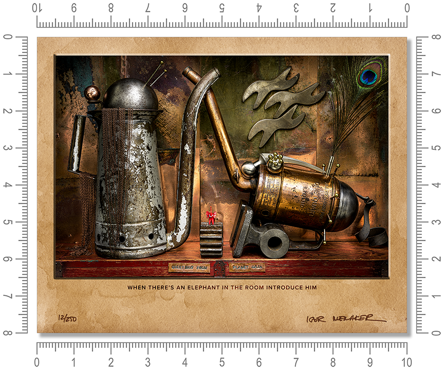 When there’s an elephant in the room introduce him - Igor Menaker Fine Art Photography