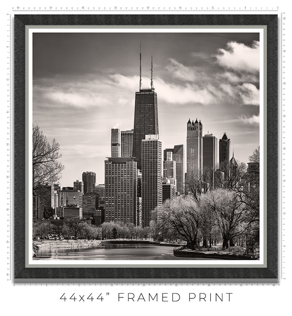 South Lagoon Chicago Skyline