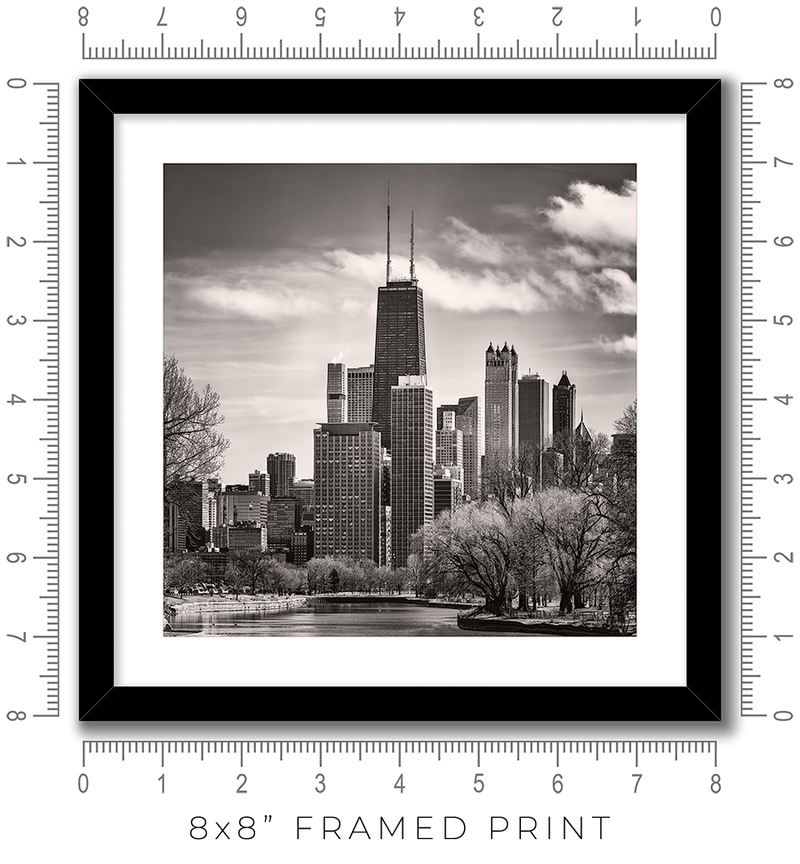 South Lagoon Chicago Skyline