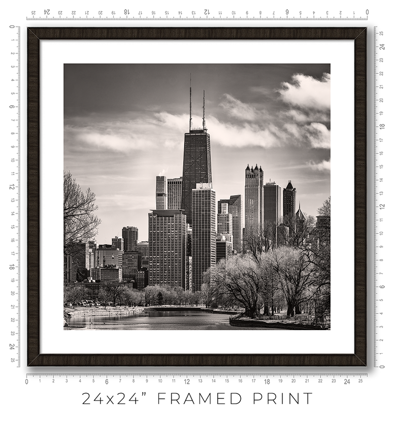 South Lagoon Chicago Skyline