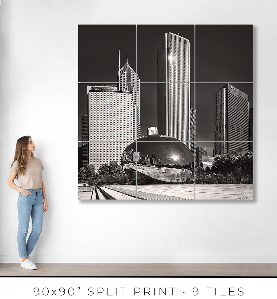 The Bean And The Chicago Skyline - Igor Menaker Fine Art Photography