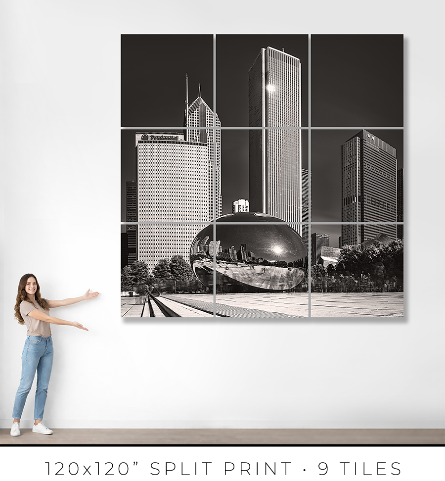 The Bean And The Chicago Skyline - Igor Menaker Fine Art Photography