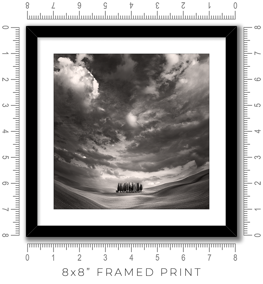 The Grove - Igor Menaker Fine Art Photography