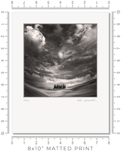 The Grove - Igor Menaker Fine Art Photography