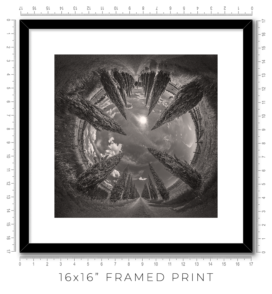 Vertigo - Igor Menaker Fine Art Photography