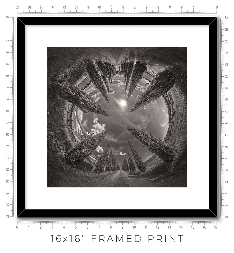 Vertigo - Igor Menaker Fine Art Photography