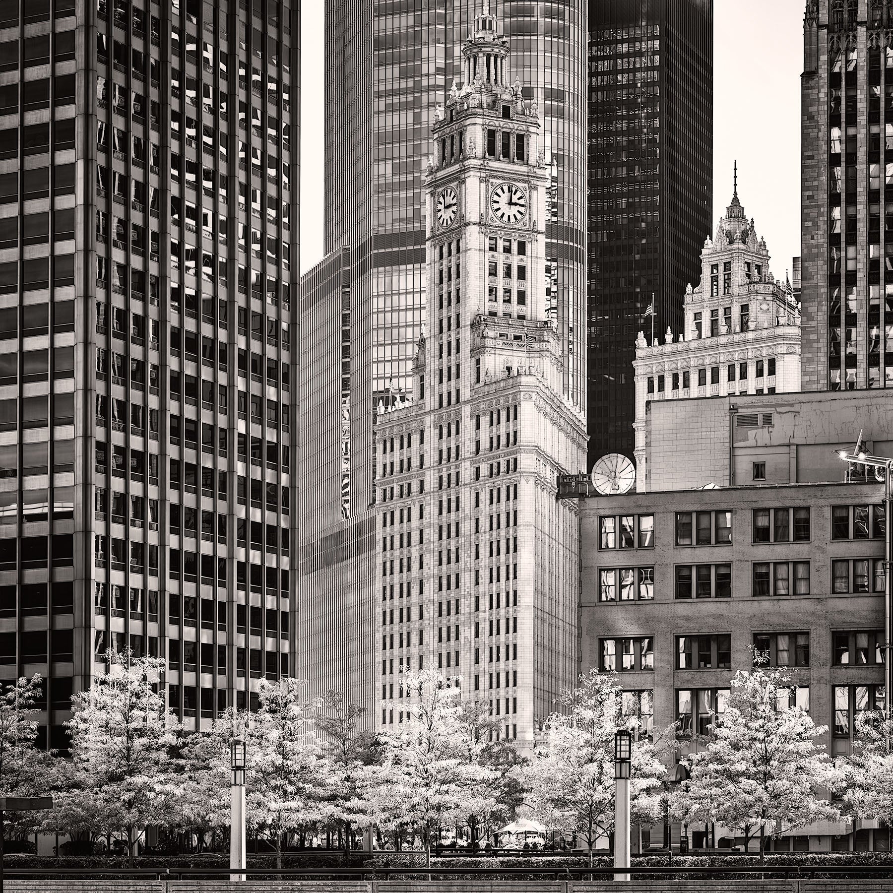 Wrigley Building from East Illinois Street