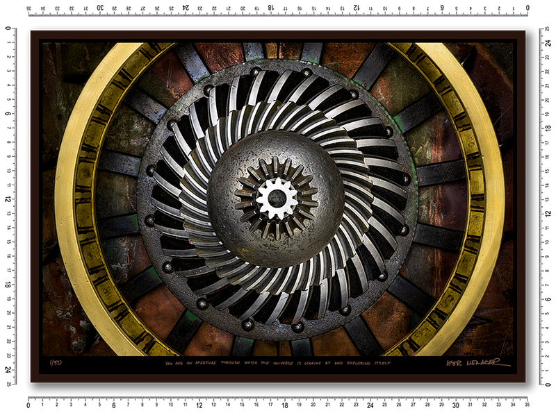 You are an aperture through which the universe is looking at and exploring itself
