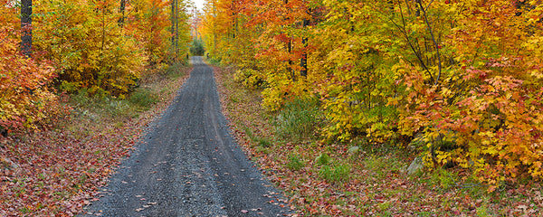 Michigan Fall Colors. III - Igor Menaker Fine Art Photography