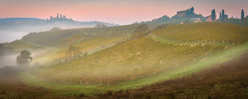 San Gimignano Vernaccia : Tuscany