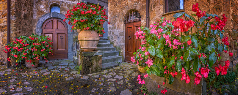 Scarlet Flowers : Civita di Bagnoregio in Viterbo - Igor Menaker Fine Art Photography