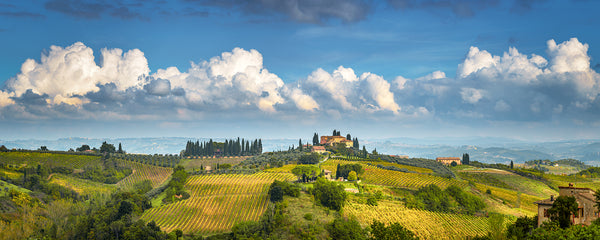 Il Poderino : San Gimignano in Tuscany - Igor Menaker Fine Art Photography