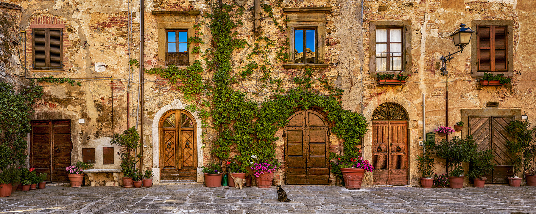 3 Cats and 5 Doors : Montemerano in Tuscany - Igor Menaker Fine Art Photography