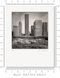 Lurie Garden - Igor Menaker Fine Art Photography