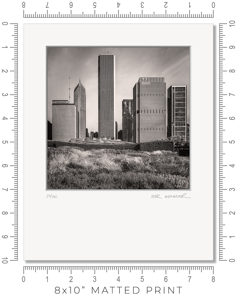 Lurie Garden - Igor Menaker Fine Art Photography