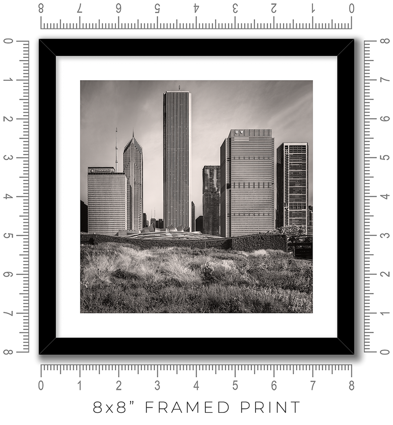 Lurie Garden - Igor Menaker Fine Art Photography