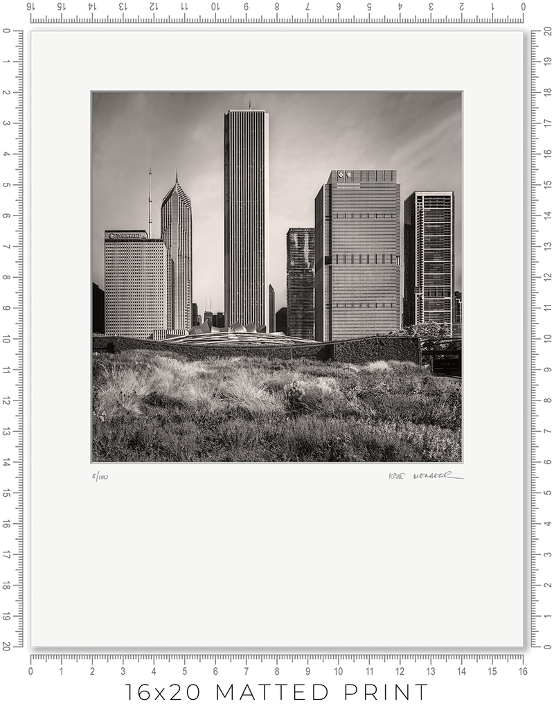 Lurie Garden - Igor Menaker Fine Art Photography