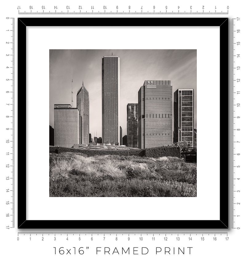 Lurie Garden - Igor Menaker Fine Art Photography