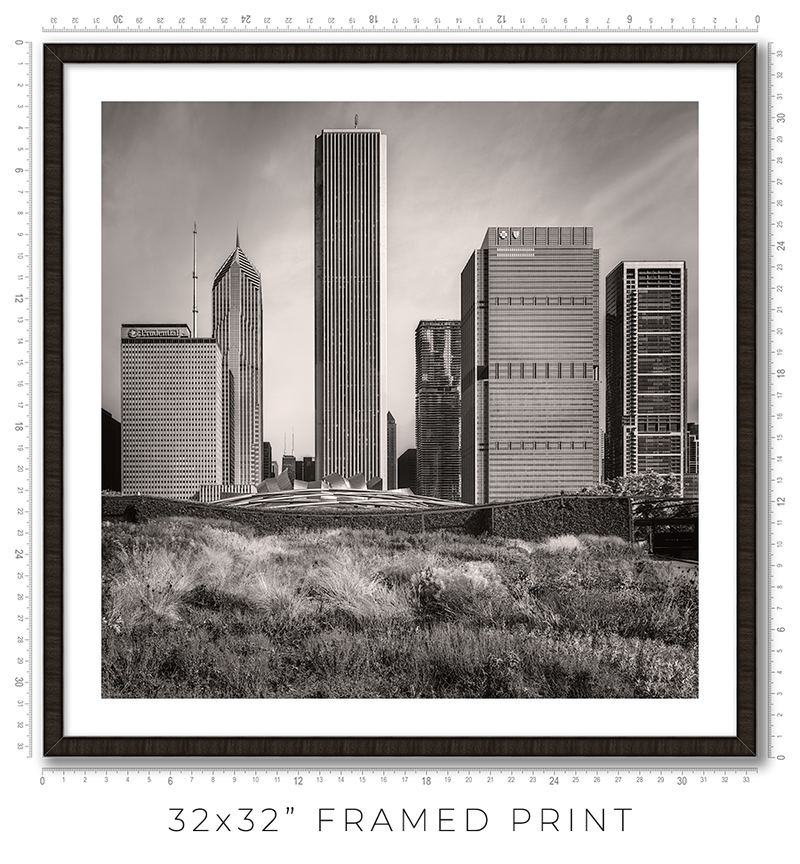 Lurie Garden - Igor Menaker Fine Art Photography