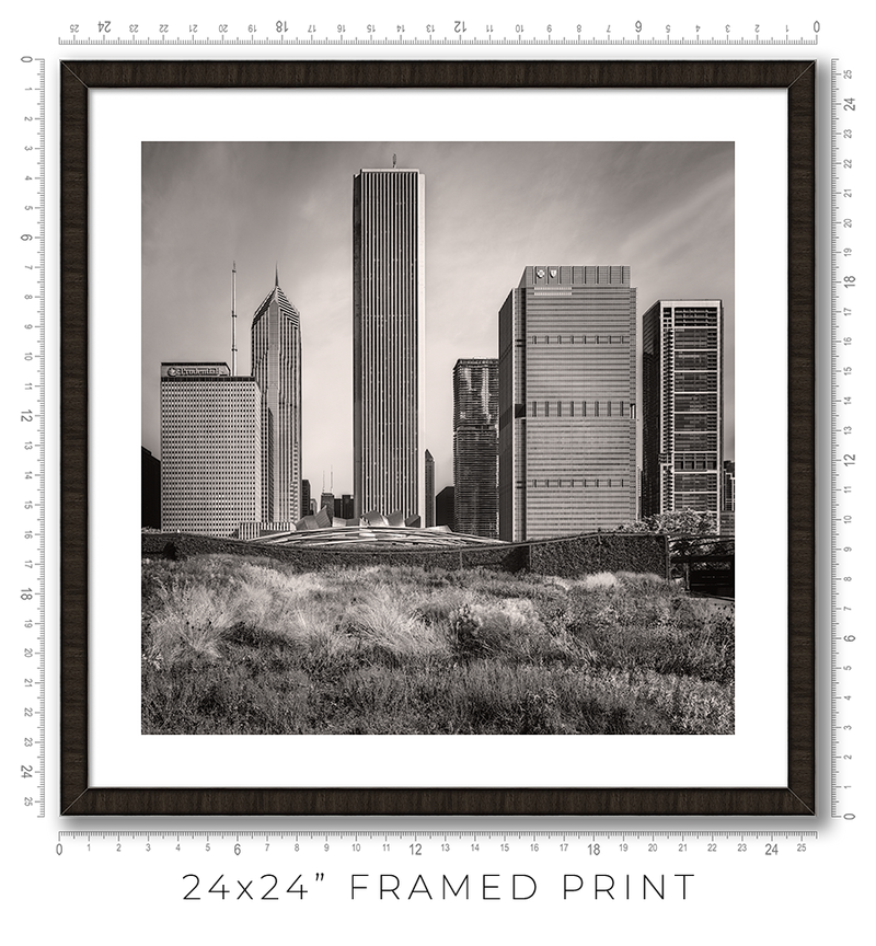 Lurie Garden - Igor Menaker Fine Art Photography