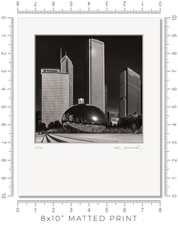 The Bean - Igor Menaker Fine Art Photography