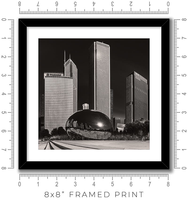 The Bean - Igor Menaker Fine Art Photography