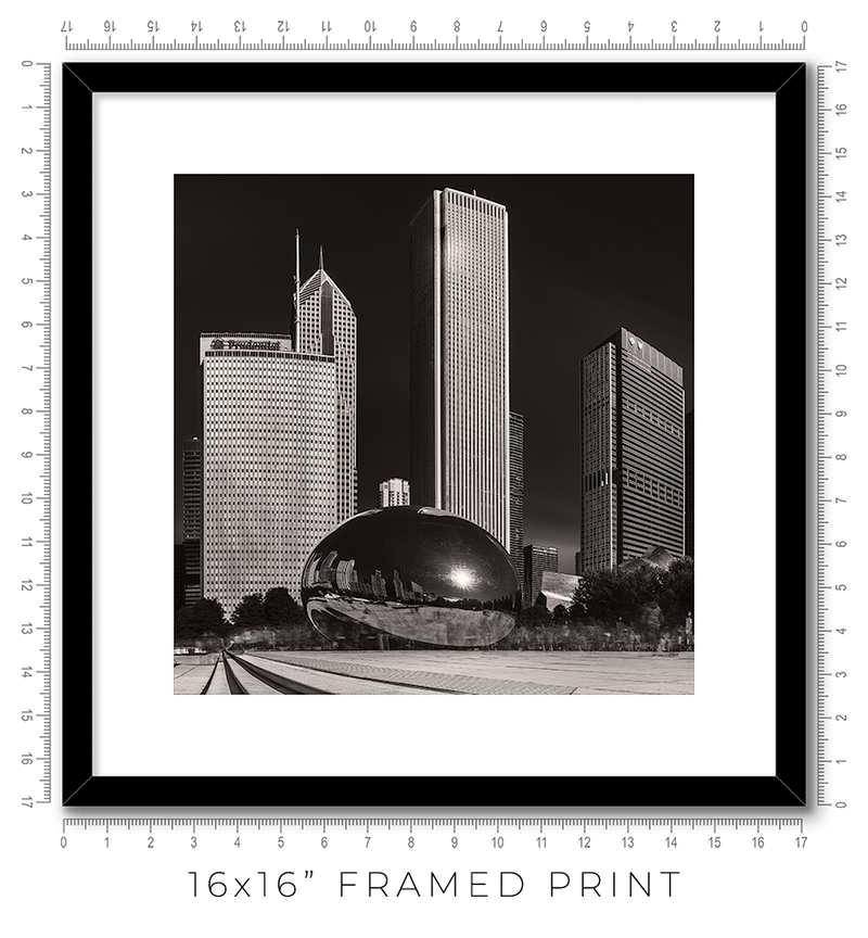 The Bean - Igor Menaker Fine Art Photography