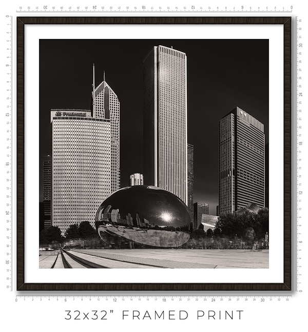 The Bean - Igor Menaker Fine Art Photography