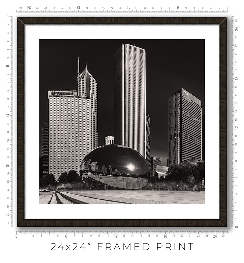 The Bean - Igor Menaker Fine Art Photography