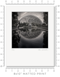 Climatron - Igor Menaker Fine Art Photography