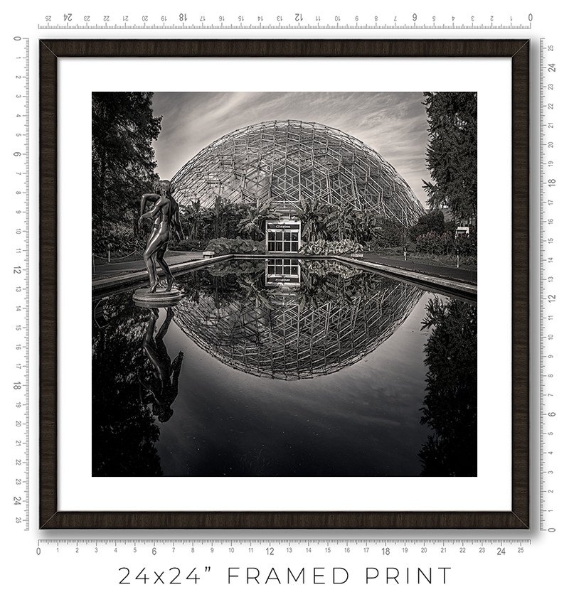 Climatron - Igor Menaker Fine Art Photography
